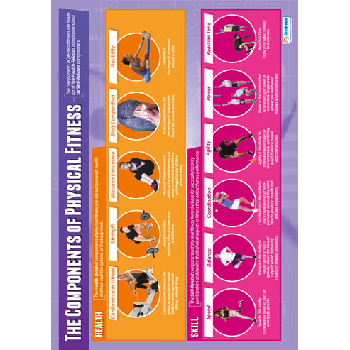 The Components of Physical Fitness Poster