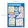Facts About Figures Poster