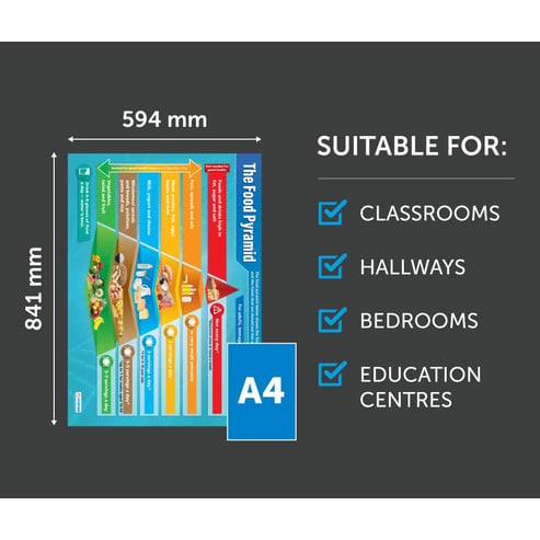 The Food Pyramid Poster