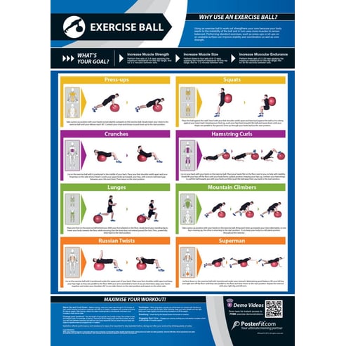 Exercise Ball Poster