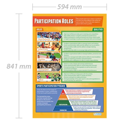 Participation Roles Poster