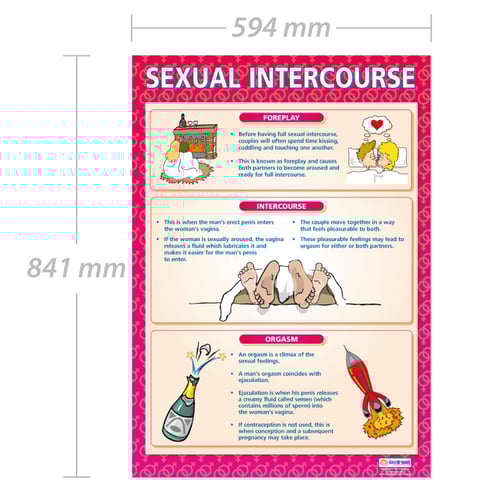 Sexual Intercourse Poster