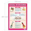 Sexual Intercourse Poster