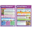 Resource Management Posters - Set of 4 