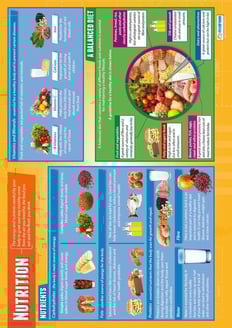 Nutrition Poster