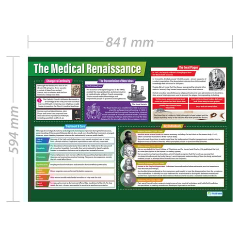 The Medical Renaissance Poster