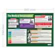 The Medical Renaissance Poster