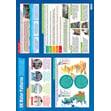UK Water Patterns Poster