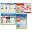 Network and the Internet Poster - Set of 16 