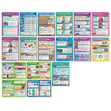 Resource Management Extended Posters - Set of 17 