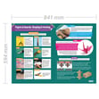 Papers & Boards: Shaping & Forming Poster