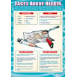 Facts About Heroin Poster