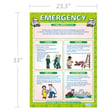 Emergency Poster