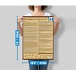 America's Founding Documents Posters - Set of 6