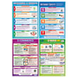 Network and the Internet Poster - Set of 16 