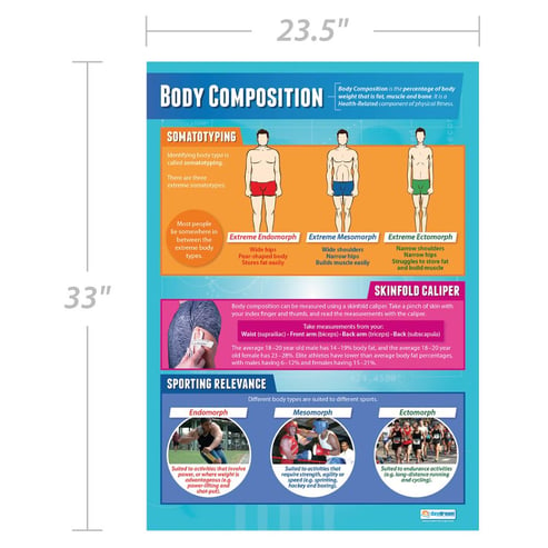 Body Composition Poster