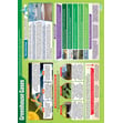 Greenhouse Gases Poster