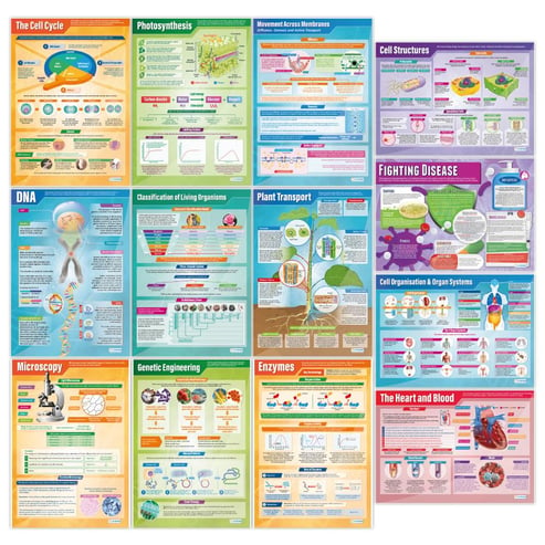 Posters Set of - Daydream Education