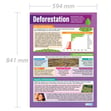 Deforestation Poster