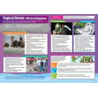 Tropical Storms Posters - Set of 2
