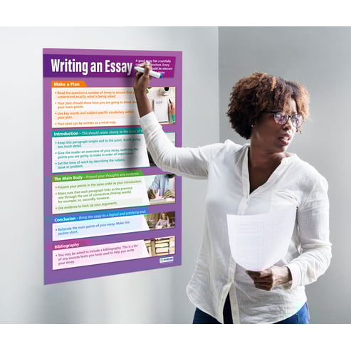 Writing an Essay Poster