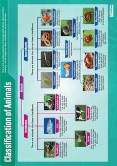 Classification of Animals Poster