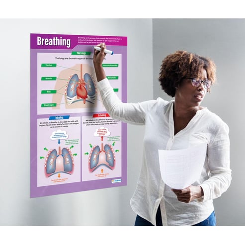 Breathing Poster