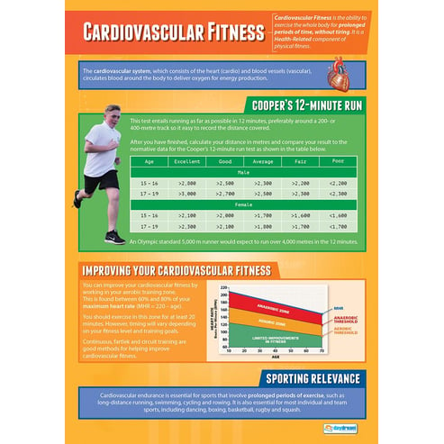 Cardiovascular Fitness Poster