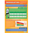 Cardiovascular Fitness Poster