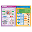 The Human Body Posters - Set of 5