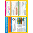 Analysing Language & Structure Poster