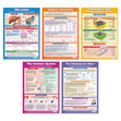 Science A-Level Posters - Set of 18