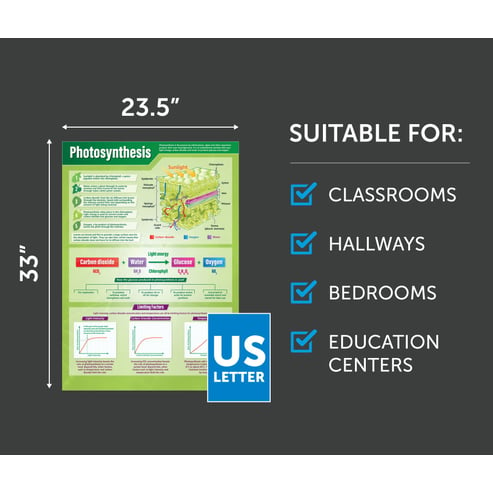 Photosynthesis Poster