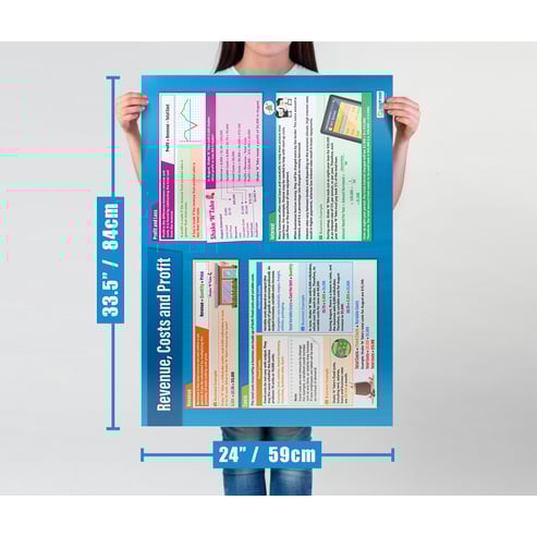 Revenue, Cost and Profit Poster