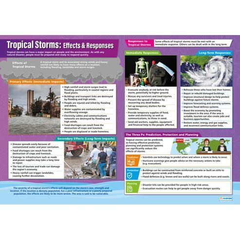 Tropical Environments Posters - Set of 3