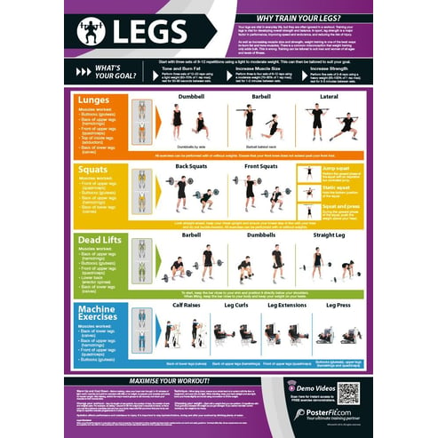 Legs Exercise Poster - Innovative Gym & Fitness Charts