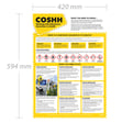 COSHH Working with Substances Poster