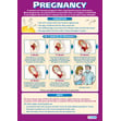 Pregnancy Poster
