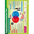 Stopping Distance & Reaction Times Poster