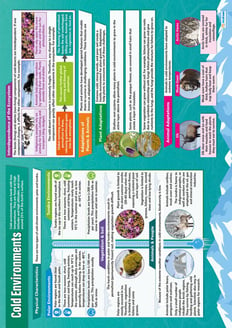 Cold Environments Poster