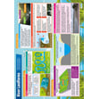 River Landforms Poster