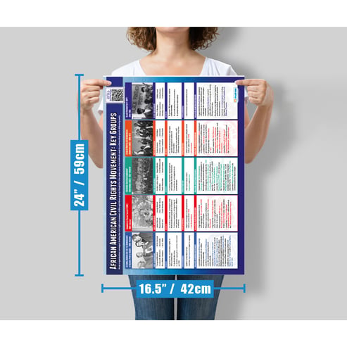 African American Civil Rights: Key Groups Poster