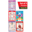 Human Body Posters - Set of 5