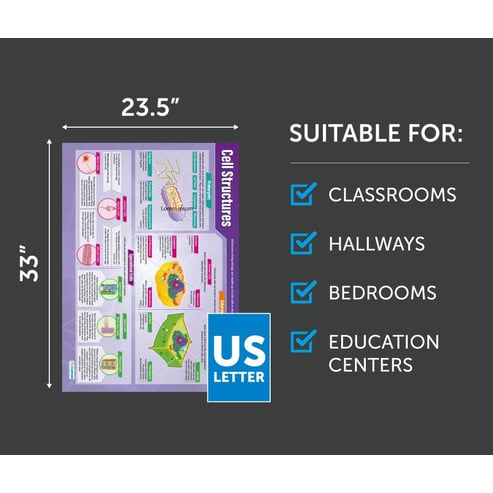 Cell Structures Poster