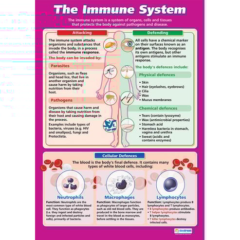 The Immune System Poster