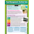 Flood Management Example: The River Tees Poster