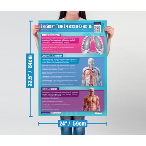 Applied Anatomy & Physiology Posters - Set of 9