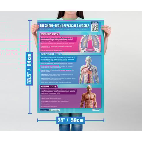 Applied Anatomy & Physiology Posters - Set of 9