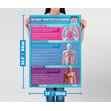 Applied Anatomy & Physiology Posters - Set of 9