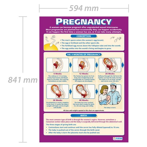 Pregnancy Poster